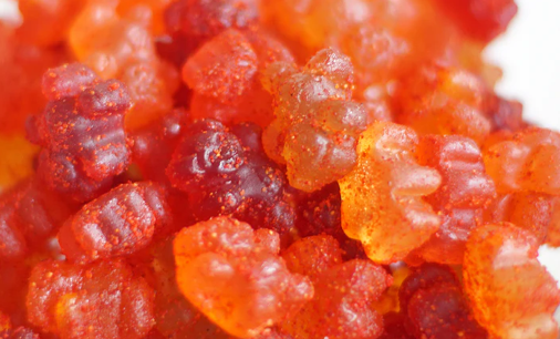 Li Hing Gummy Candies